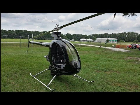 Mosquito