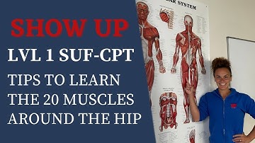SHOW UP LEVEL 1 SUF-CPT: TIPS TO LEARN THE 20 MUSCLES AROUND THE HIP | ACT7VE