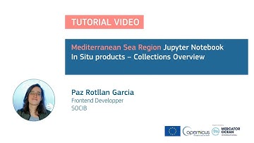 Jupyter Tutorial - Mediterranean Sea - Overview of the In Situ data collections