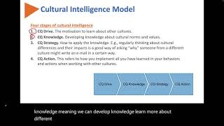 Human Relations: Cultural Intelligence (CQ)