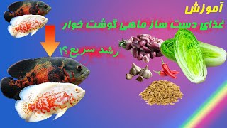 آموزش غذای دست ساز برای ماهی گوشت خوار اکواریوم،رشد سریع ماهی با غذای دست ساز،ماهی گوشت خوار اسکار❤️