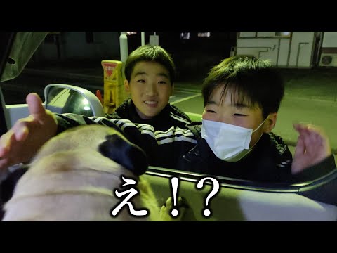 【神回】うそでしょ!? 中学生2人組が奇跡の伏線回収│30代独身男と犬の車中泊