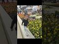 韓国 じいじとばあばで4日間行ってきた2日目 韓国最大級のテーマパークのエバーランドへ 韓国旅行 エバーランド ソウル 韓国 じいじとばあばで4日間行ってきた2日目 韓国最大級のテーマパークのエバーランドへ 韓国旅行 エバーランド ソウル