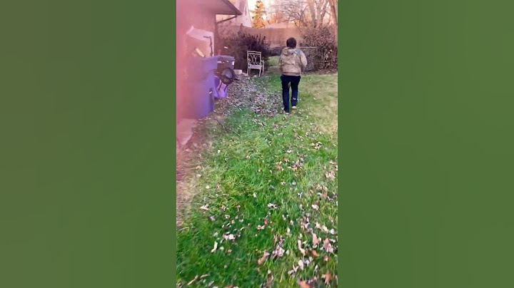 Harry Potter when he breaks his broom be like