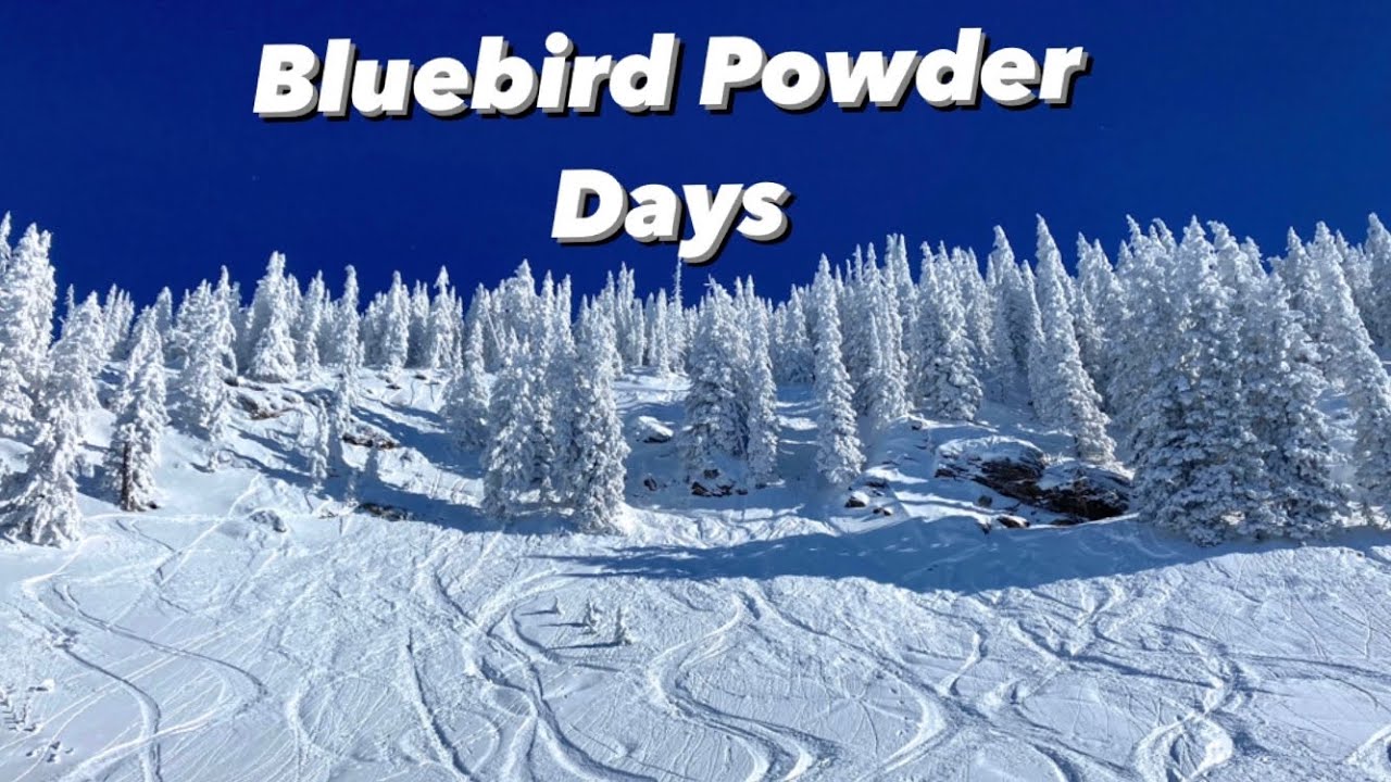 Top 10 Powder Days 2023 YouTube