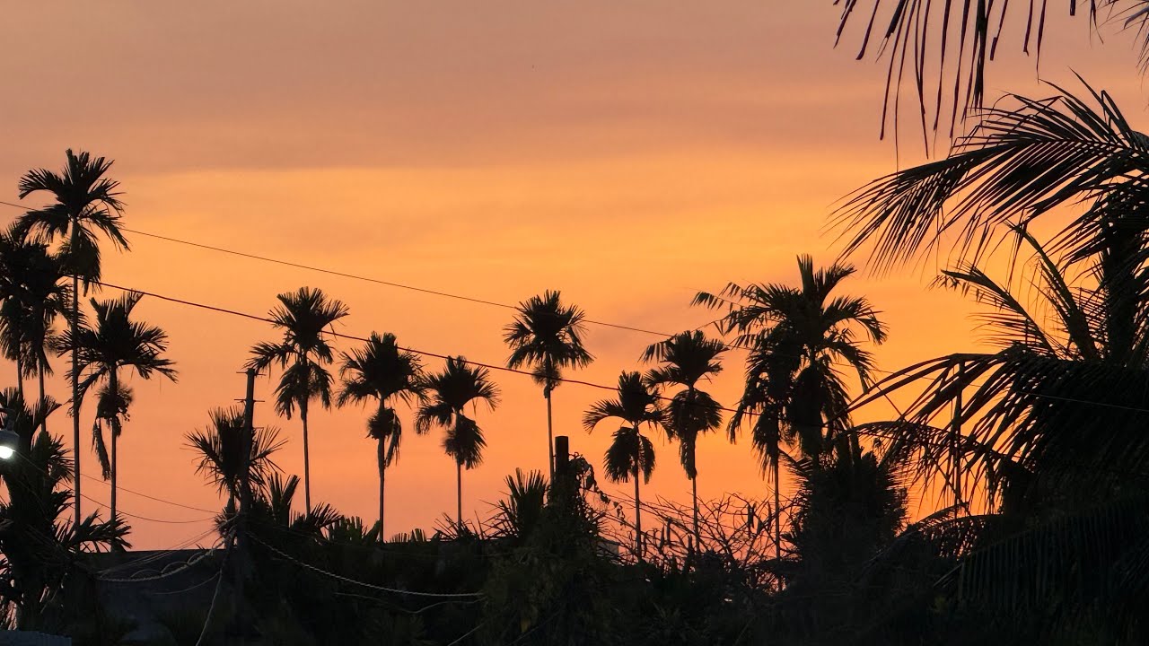 Tag 15 - Urlaub auf dem Bauernhof meiner Eltern #morgenküche #farm  