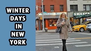Winter days in New York City