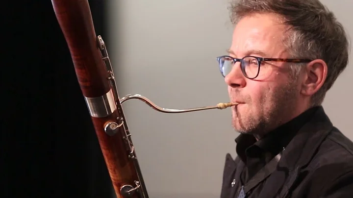 Fagott  (Musikschule Luzern)