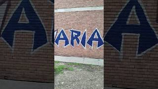ARIA Ultra' - Peluza Marina - Farul Constanta 📢 ⚽ 🌊 ⛵