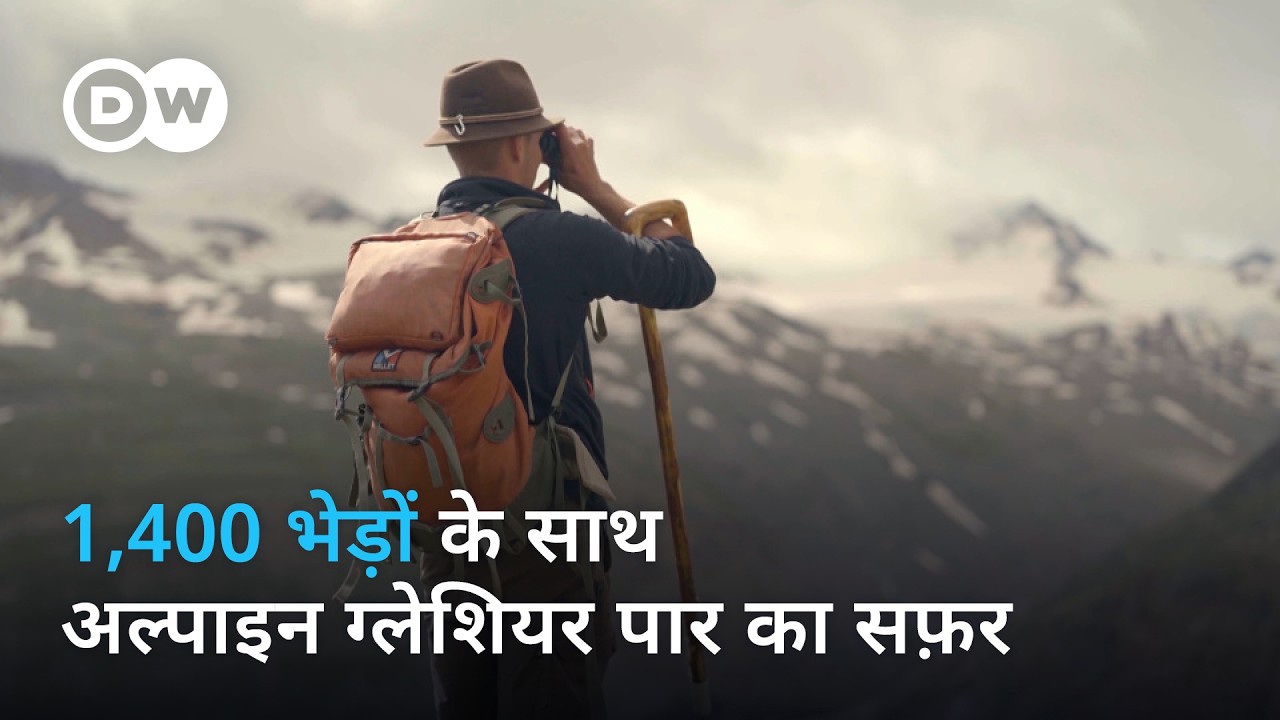 जानलेवा सफर तय करने वाले बेखौफ चरवाहे [Crossing a glacier with 1,400 sheep] | DW Documentary हिन्दी