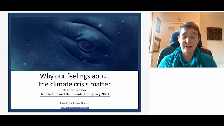 Workshop 4. Why our feelings about the climate cri...