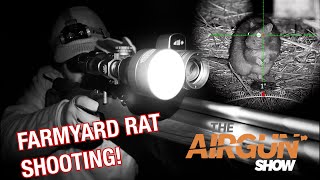 The Airgun Show | Farmyard Rat Shooting at Night| Crosman Trailhawk air rifle review by theshootingshow 46,659 views 2 weeks ago 22 minutes