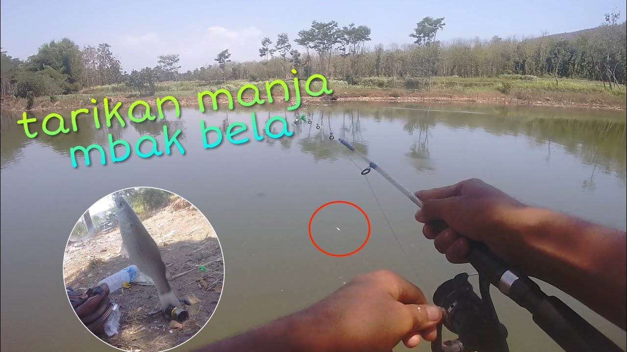 mancing ikan belanak lagi