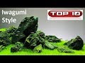 Top 10 Acquari Iwagumi straordinari 🐠