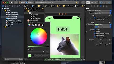 Mac 사용기] ios Xcode 사용해보기! 간단하게 텍스트와 사진, 앱 아이콘을 구현해봅시다