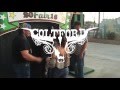 #ColtFordOnTour - Tulare County Fair - Tulare, CA 9-16-2016