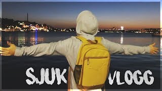 Fet Dag Tillsammans Med Falken Och Verz Häng Med D