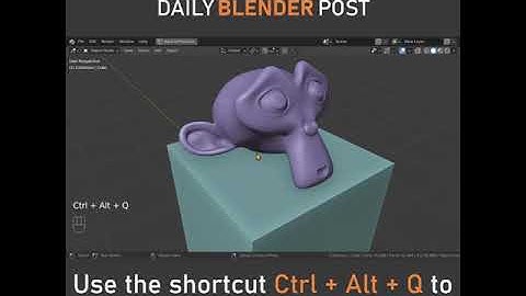 Quad View in Blender