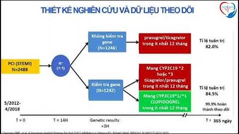 Điều trị kháng kết tập tiểu cầu kép trong hội chứng vành cấp định hướng kiểu gen