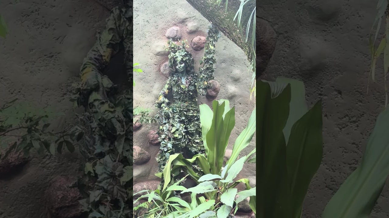 Living art at Disney’s Animal Kingdom. Meet DiVine