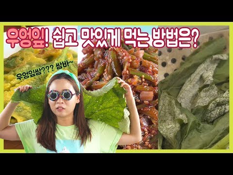 [숏클립] 우엉잎! 쉽고 맛있게 먹는 방법은?