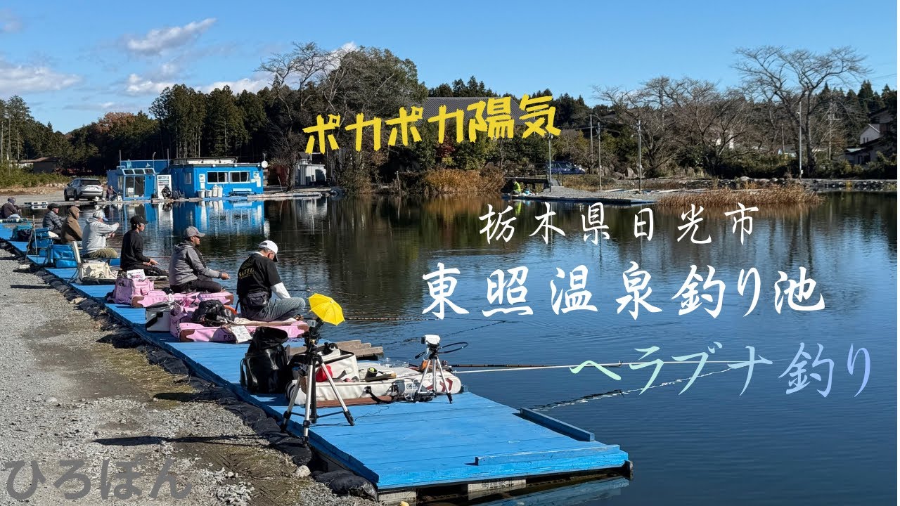 ヘラブナ釣り　東照温泉釣り池　栃木県日光市　秋のへらぶな釣り　#釣り #fishing #へらぶな釣り #栃木県　　　2025年11月22日釣行