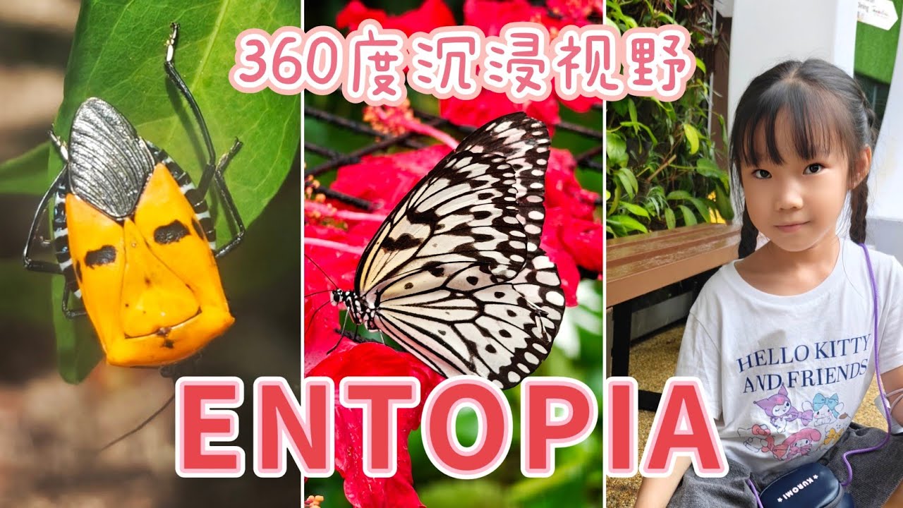 Penang | Entopia by Penang Butterfly Farm | Insect | Reptilia | 360 degree view | Full tour