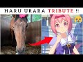 Haru Urara Death | Haru Urara Passed Away At The Age Of 29