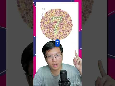 Video: Bagaimanakah anda melakukan ujian kotak putih?