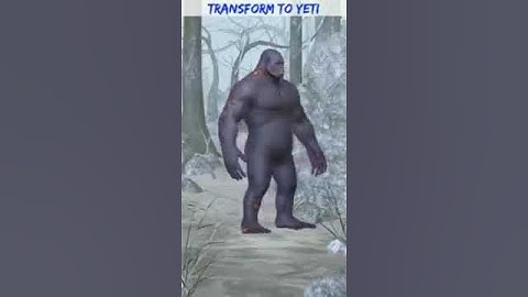 Transform to yeti