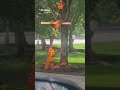 Burning cross, a Ku Klux Klan symbol found in Chicago park