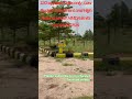 Real estate Hyderabad| plot for sale in hyderabad| Best plot for sale|future investment #hyderabad