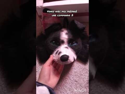 Nouvelle Commande Nohateahfq Antizoo Justeunalterhumainfr Furry Therian Ockin Animalhearted