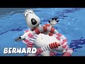 Bernard Bear | Swimming AND MORE | Cartoons for Children | Full Episodes