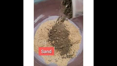 How to grow Red Spinach from seed | Red spinach 9 days update |