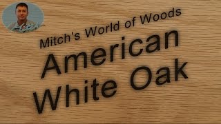 American White Oak - Mitch's World of Woods