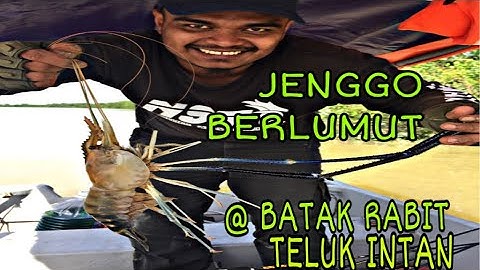 Mancing udang galah@layan jenggo di Batak Rabit@Teluk Intan | Jeti Pak Ya