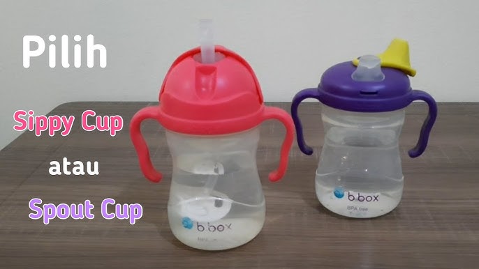 How to Transition Baby from Bottle to Cup – b.box for kids