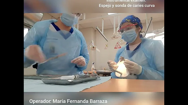Angulo Francisca- Barraza Mara Video Ergonoma