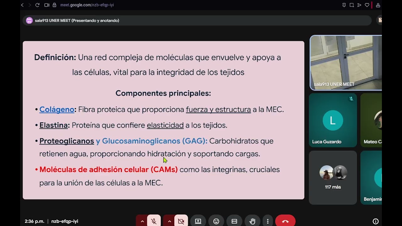 Biología 14/04/26 P1
