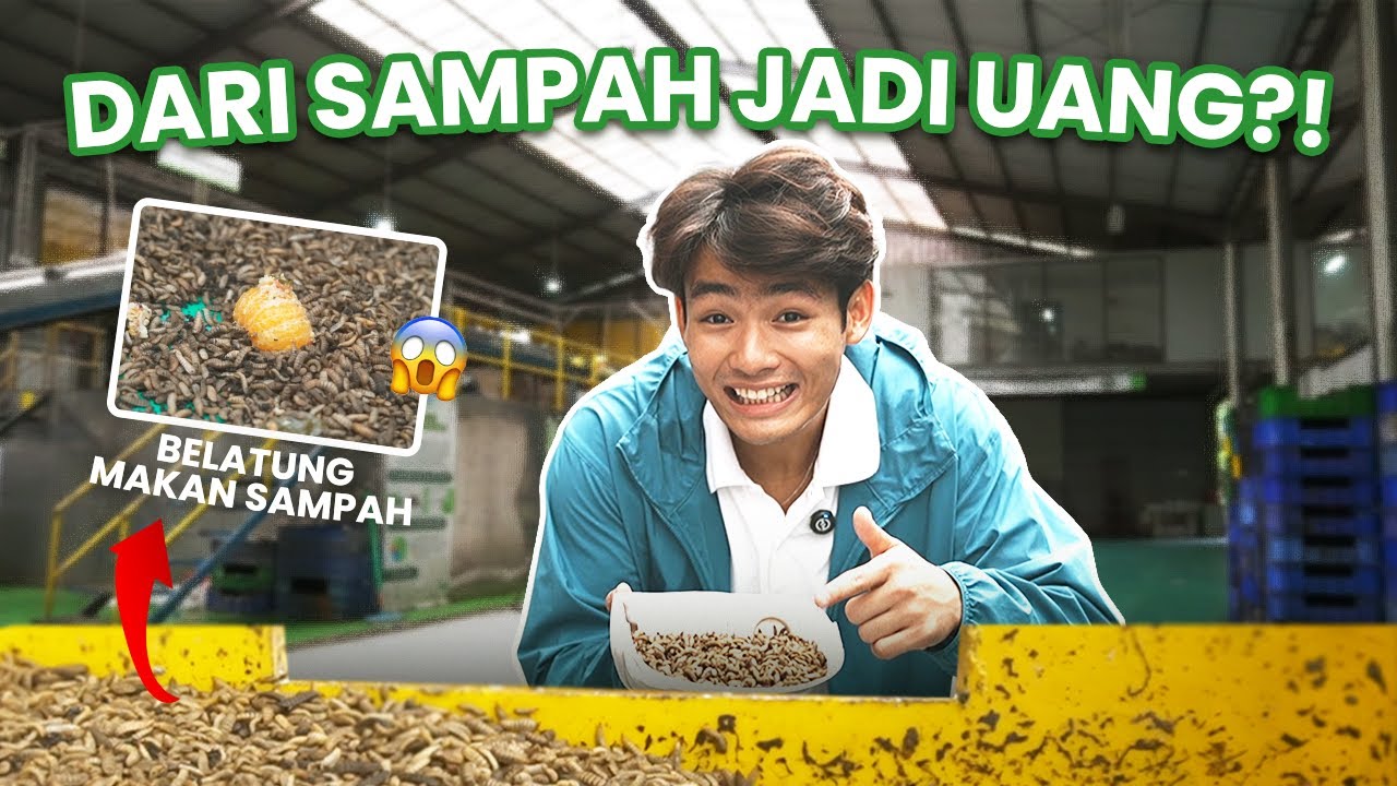 DARI SAMPAH JADI UANG! 💸 ULAT MAGGOT SOLUSI MASALAH SAMPAH  ♻️