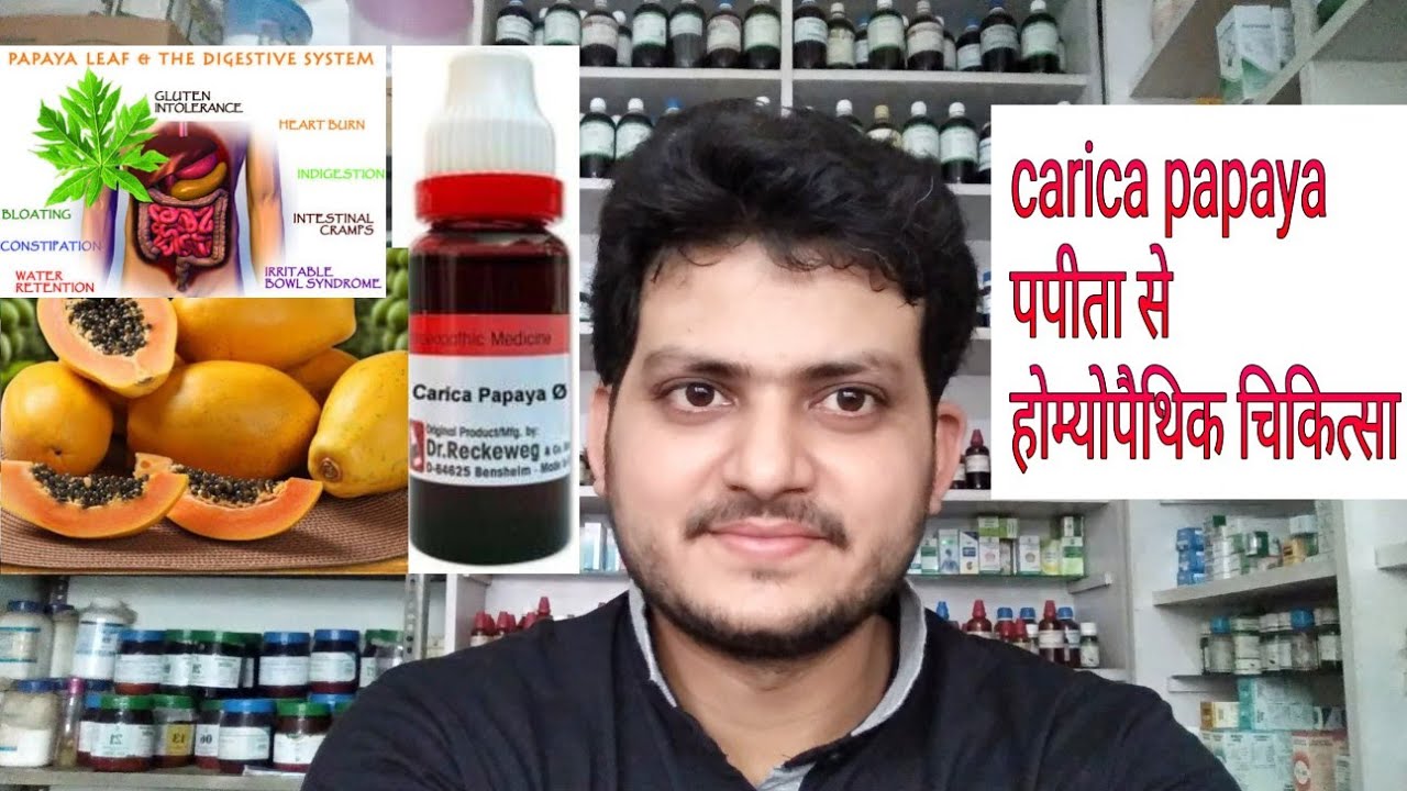 Carica Papaya Q Homeopathy Uses In Hindi carica papaya! Homeopathic medicine carica papaya??indication jaundice