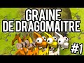 [Dofus] Graine de Dragomaître | #1 - Capture des dragodindes