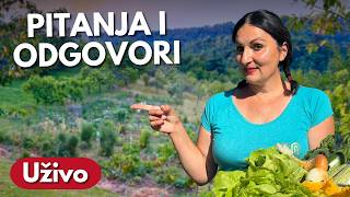 Julski Rasadnik i Izazovi u Bašti – Konsultacije Uživo #012 screenshot 5