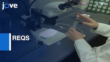 REQS used to Measure Exercise Levels | Protocol Preview