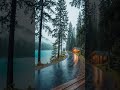 Relaxing Rain Sounds by the Lake 🌧️ | Forest Ambience for Sleep &amp; Study #nature #bluebirds