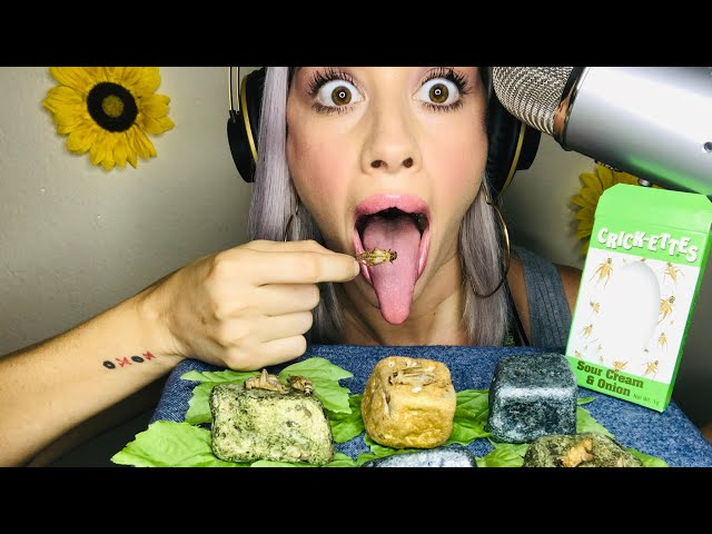 ASMR Crunchy Crickets And Crunchy Rocks!!!!!!