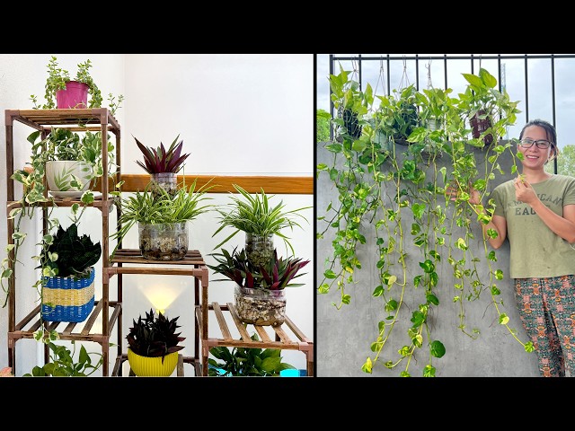 How to Grow an Indoor Garden With Recycled Materials: Eco Tips