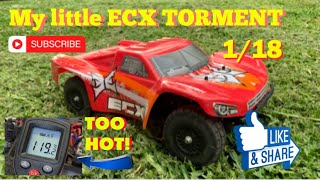 1/18th ECX TORMENT - HORIZON HOBBY - #rccars #ecx #rc