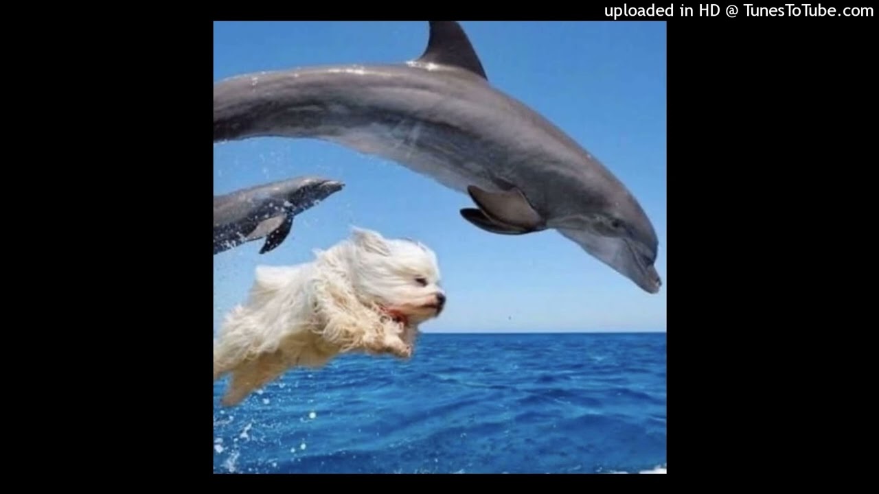 1oneam + okaymar + tdf type beat (prod. hidden lotus)